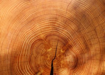 Puitmajatootjad ekspordivad julgelt