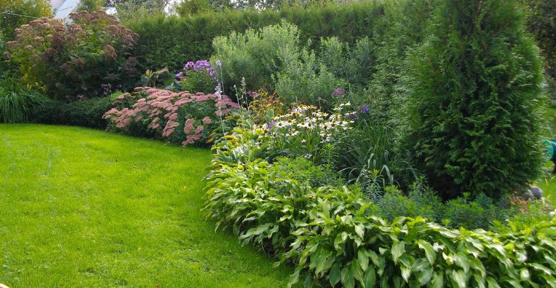 Põnevaid taimi aia või elupuuheki veerde