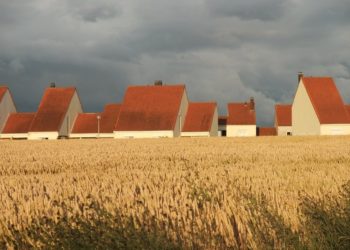 Eesti ehitab messil kuulutatakse välja aasta katuse tiitlivõitja. Foto: Pixabay