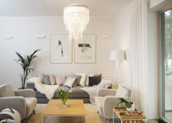 Kodu: hiirehall võib olla põnev.