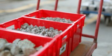 Foto: miks sertifitseerida