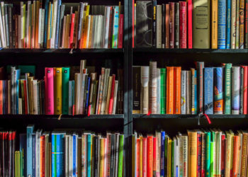 Tõnis Tarbe arvamuslugu