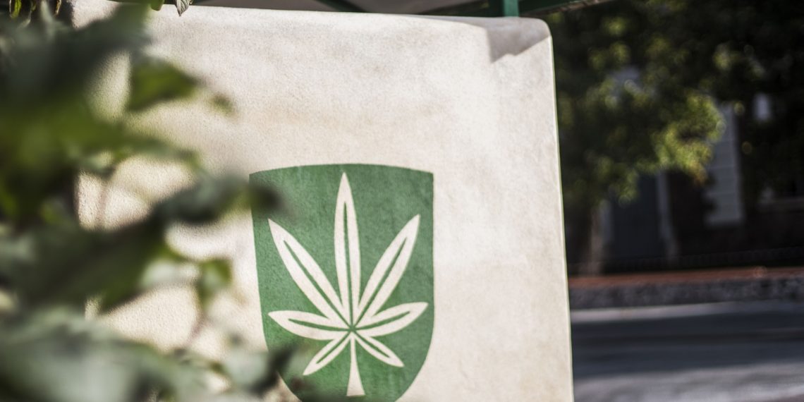 Kanepisein Kanepis, autor Markus Pau, Kuningpuu OÜ