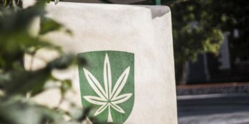 Kanepisein Kanepis, autor Markus Pau, Kuningpuu OÜ