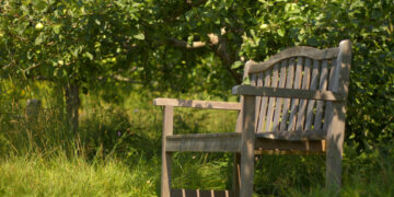 Vana arhitekt, liginull. Foto: Shutterstock