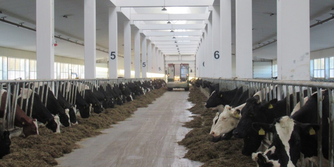 Suurfarmi ehituseks kulus kokku 638 betoonposti ja -tala. Foto: Mapri Ehitus