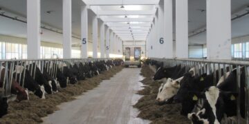 Suurfarmi ehituseks kulus kokku 638 betoonposti ja -tala. Foto: Mapri Ehitus