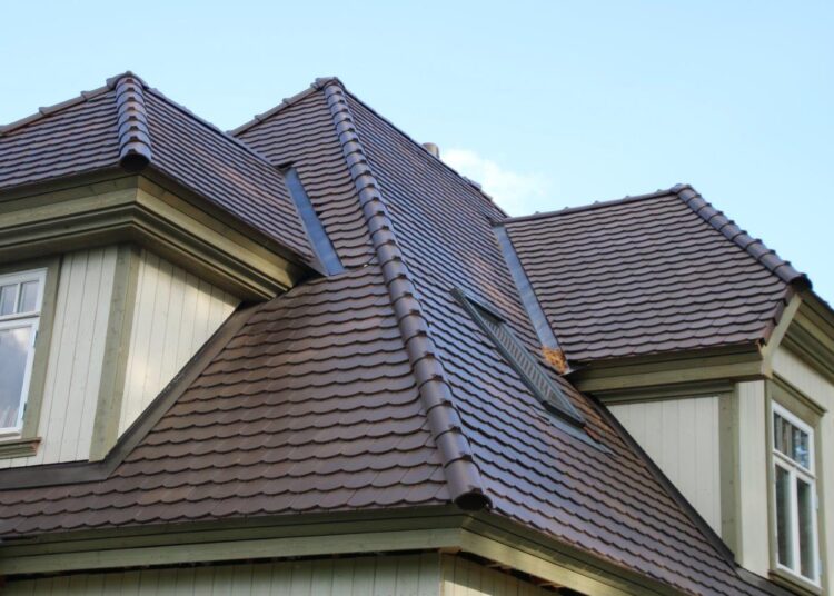 Kaldkatus. Foto: EKFML