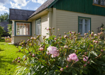 Tallinna lähedal asub vahva maakodu, kus on tehtud algust vanavanemate loodud vana maja samm-sammulise taastamisega. Foto: Kadri Tamm