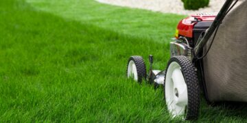 Niidukid jagunevad mehaaniliseks, elektri- või bensiinimootoriga masinateks. Foto: Shutterstock