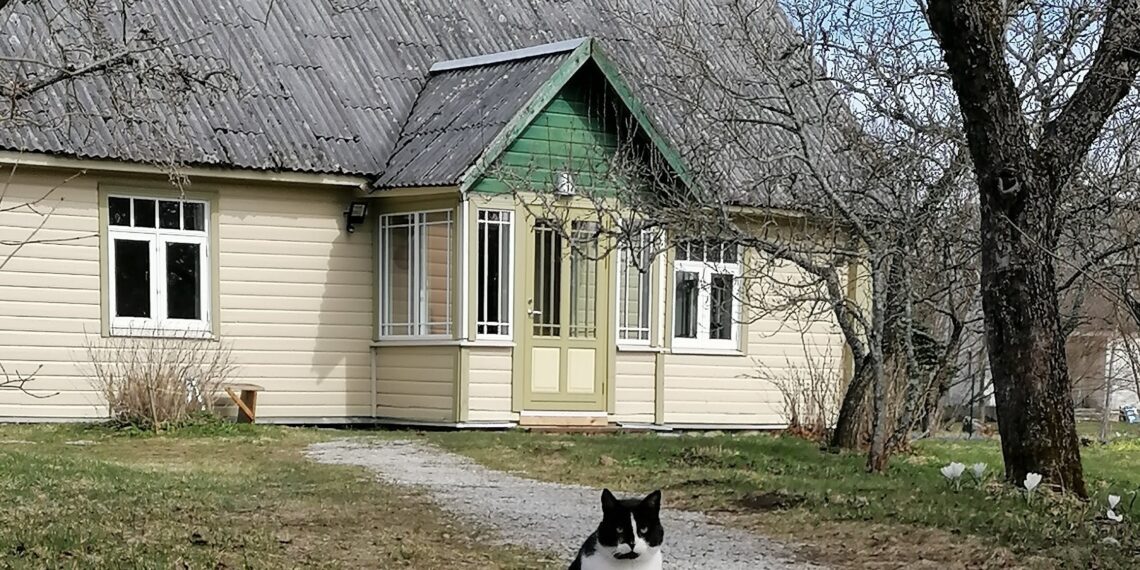 Vana maja remont. Vanal majal on aga oma lugu ja iseloom, mida uutel pakkuda pole. Foto: Kadri Tamm