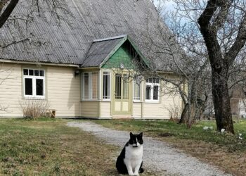 Vana maja remont. Vanal majal on aga oma lugu ja iseloom, mida uutel pakkuda pole. Foto: Kadri Tamm