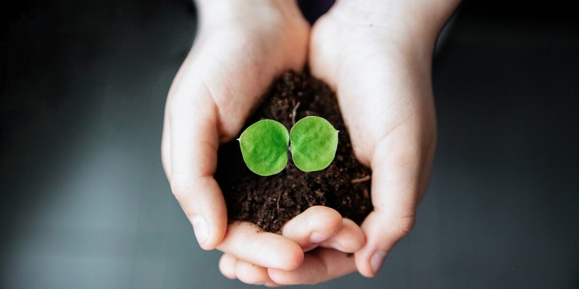 Biojäätmed. Foto: Pixabay