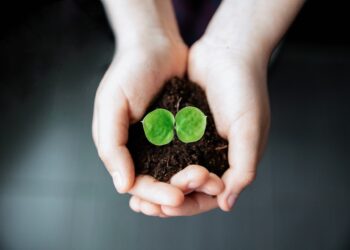 Biojäätmed. Foto: Pixabay