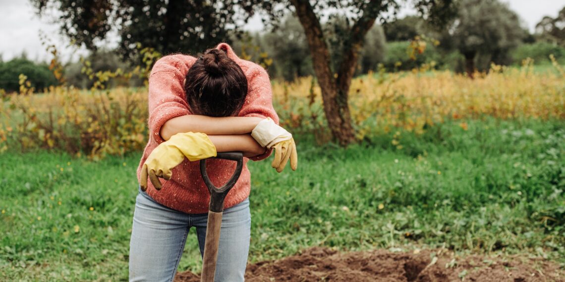 Aiakujundusideed pane sügisel juurduma. Foto: Shutterstock