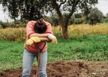 Aiakujundusideed pane sügisel juurduma. Foto: Shutterstock