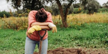 Aiakujundusideed pane sügisel juurduma. Foto: Shutterstock