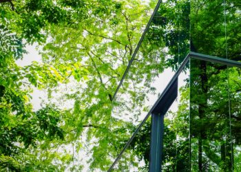 Vana arhitekt: rohetuulte meelevallas. Foto: Shutterstock