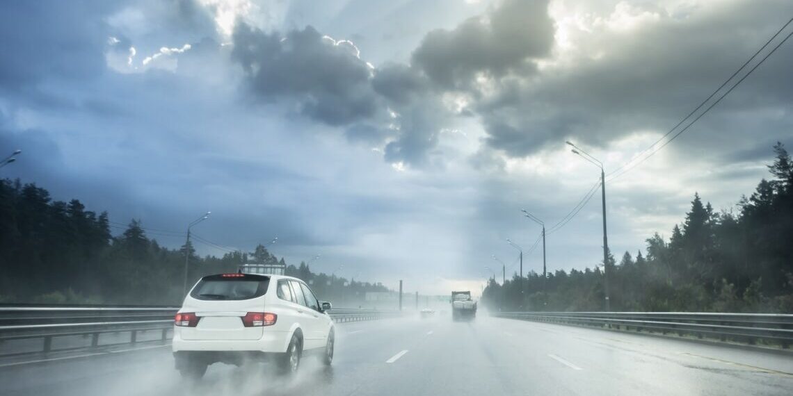 Teedepäev 2024. Foto: Shutterstock