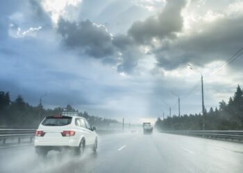 Teedepäev 2024. Foto: Shutterstock