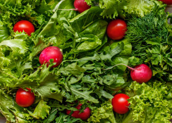 Kevadised aiasaadused. Foto: Shutterstock