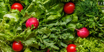 Kevadised aiasaadused. Foto: Shutterstock