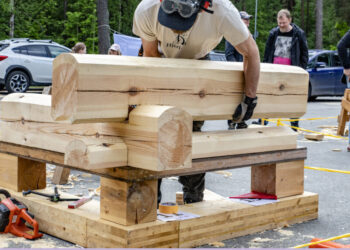Eesti Puitmajaliit valib igal aastal aasta tegijat, Eesti puitmaja sõpra ja Eesti puitarhitektuuri mõjutajat.
