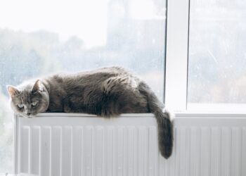 Aasta sisekliima insener ja nominendid.