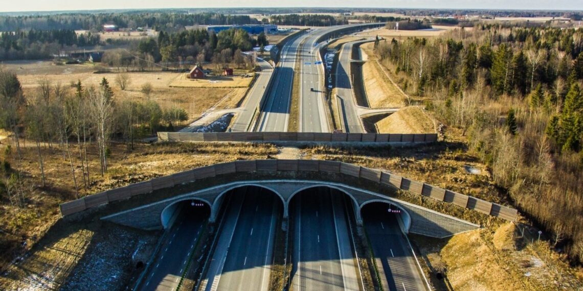 Sel ja järgneval aastal rajatakse kokku rekordiliselt ehk 45 kilomeetrit uusi neljarajalisi maanteelõike. Pildil ökodukt Tallinn-Tartu maanteel.